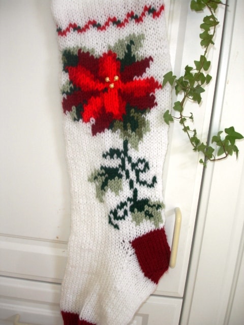 Poinsettia