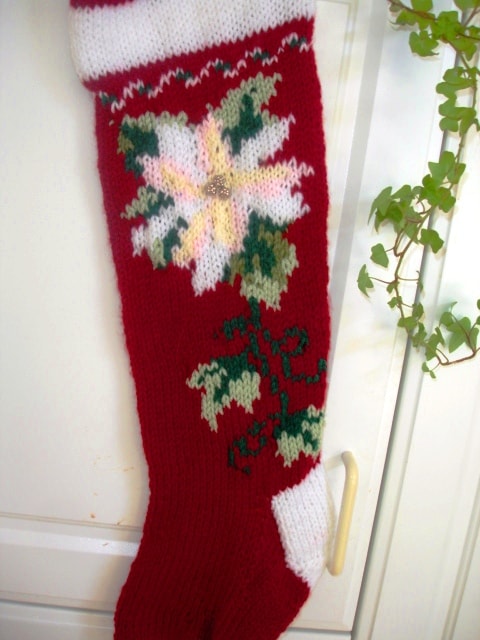 Poinsettia